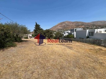 img359a4285-e84a-4738-a1a5-f43321e2b6c7