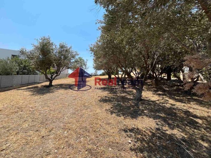 Image No.7-Propriété à vendre à Lagonisi