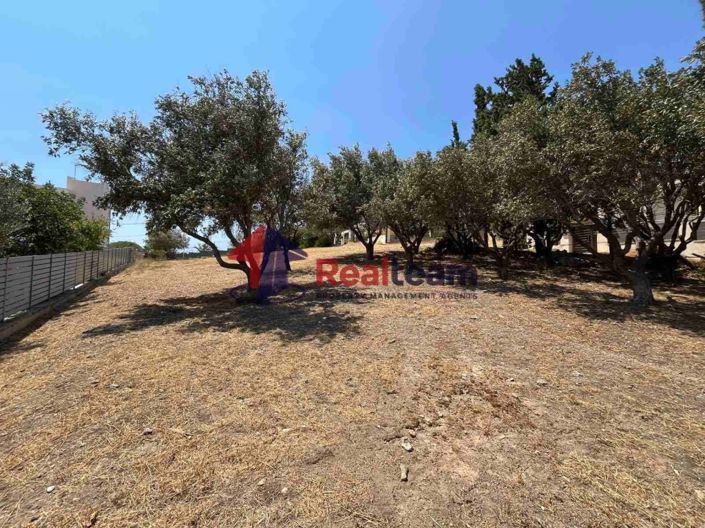 Image No.8-Propriété à vendre à Lagonisi