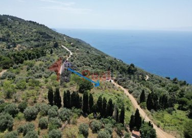 imgbe71bbfa-8209-4592-a42b-7b6b8a22ead9