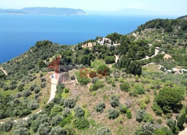 imgd662ceb1-910f-448d-93a6-cdfa7a3bc2d6