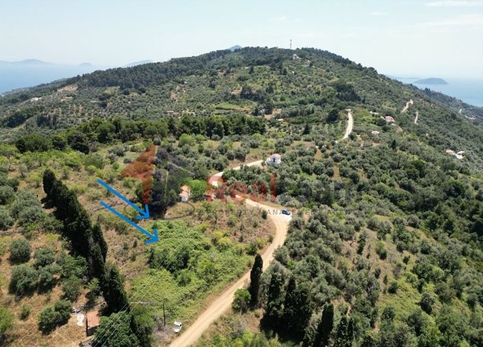 Image No.2-Propriété à vendre à Glossa