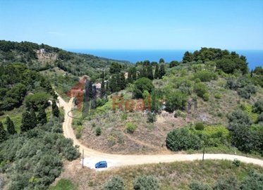 imgafe41fdc-1052-49e9-92e6-945cce8e7588