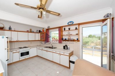 img02185b25-370c-42f8-ad41-60b9cf788ccd