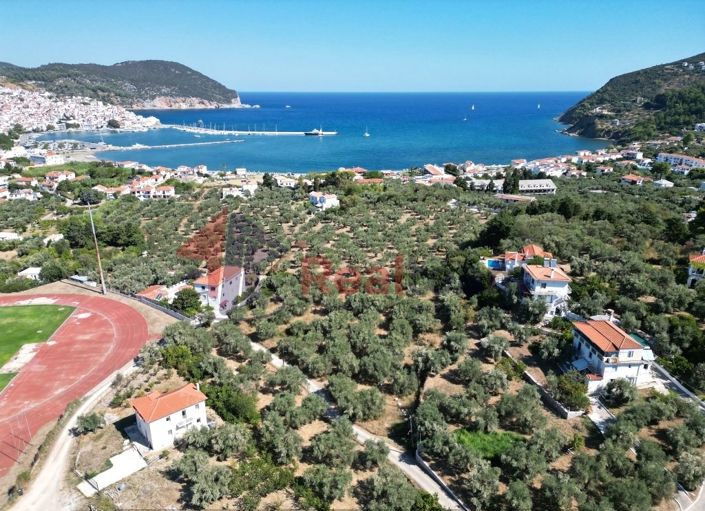 Image No.3-Propriété à vendre à Chora