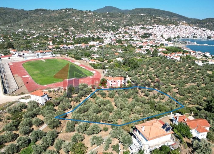 Image No.4-Propriété à vendre à Chora