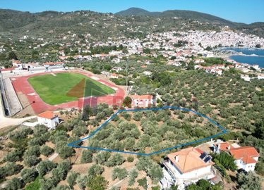 imga8de6ca2-a88c-45c8-8dc9-2f41e7dd0901