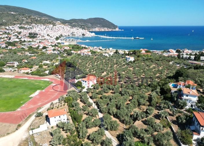 Image No.5-Propriété à vendre à Chora