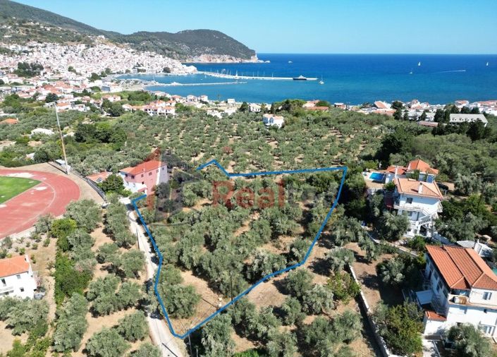 Image No.7-Propriété à vendre à Chora