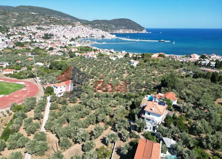 Image No.8-Propriété à vendre à Chora