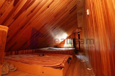 img8641d0f3-fad7-4eab-967a-00c5f42e8e41