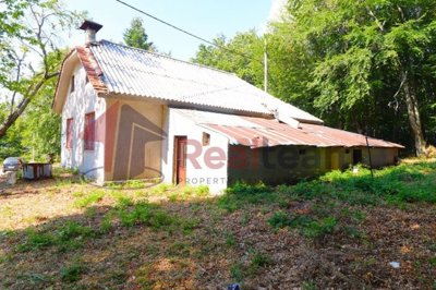 img8e445562-6f52-44f1-8925-5f0f32c2ff10