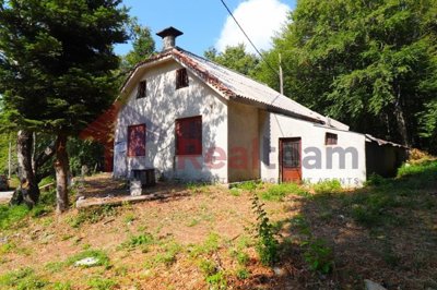 img255a1e83-92ed-4e61-b4aa-8113a60e59c4