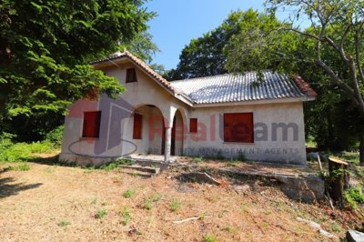 imgcd30bc09-3f6e-4757-b7b1-111f1f08c040