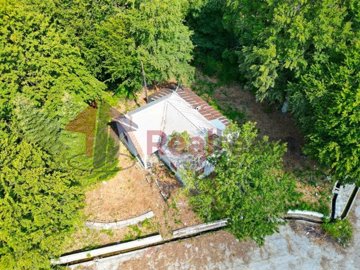 imgd7f0270e-91f0-458c-80c9-71df6ce40295