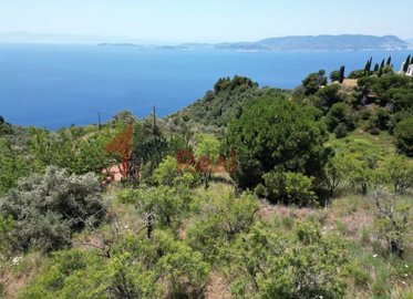 img1d242b07-12f7-4593-bfe7-c88082bc791f