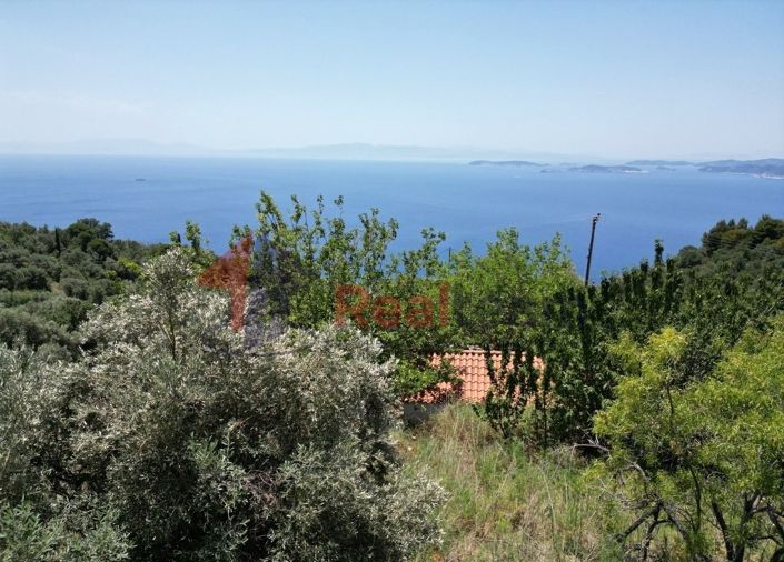 Image No.11-Propriété à vendre à Glossa