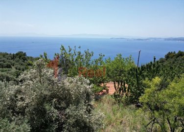 img01cee3b4-056f-48d2-ac40-4245d72e1327