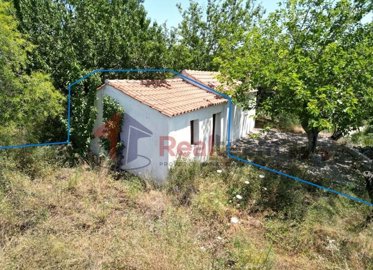 img71b3c841-c2a5-4d21-be45-681ef11b3051