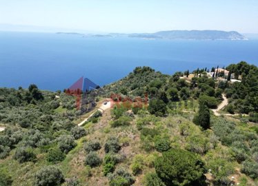 imgc3398ce1-f1c4-4be8-8ae5-94c631f2937c