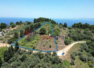 img230ce0ae-0688-4541-85c1-8ef40025fef4