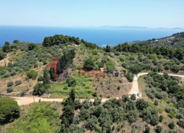 img2f4a0db8-e2a5-4ec0-8c11-1dd873560d46