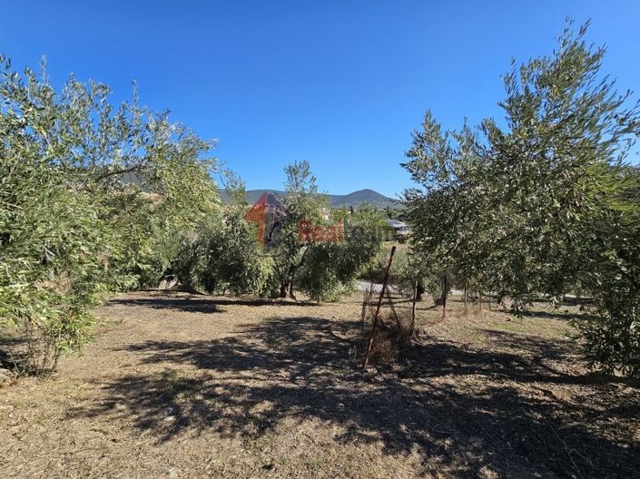 Image No.10-Propriété à vendre à Pteleos