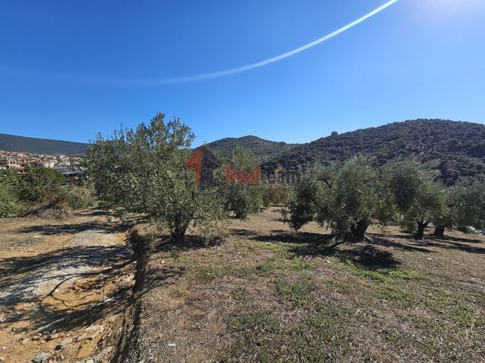 Image No.11-Propriété à vendre à Pteleos