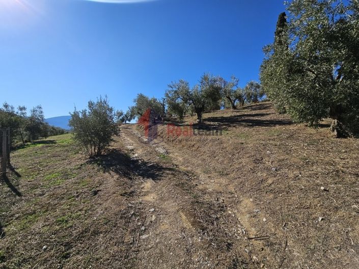 Image No.12-Propriété à vendre à Pteleos