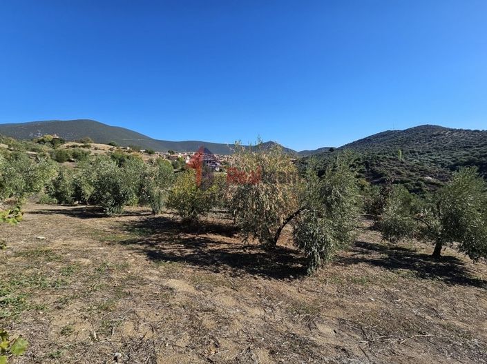 Image No.14-Propriété à vendre à Pteleos