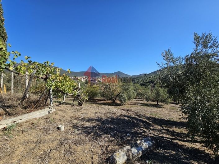 Image No.15-Propriété à vendre à Pteleos