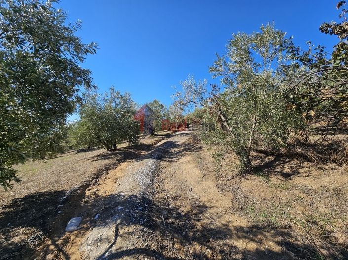 Image No.16-Propriété à vendre à Pteleos