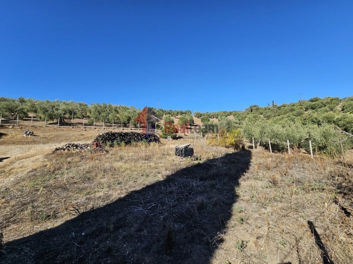 Image No.17-Propriété à vendre à Pteleos