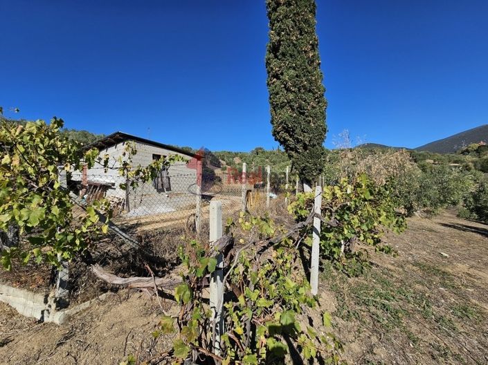 Image No.18-Propriété à vendre à Pteleos