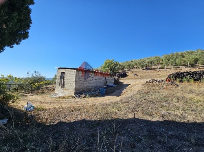 Image No.19-Propriété à vendre à Pteleos