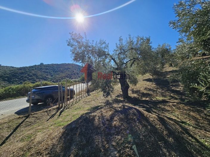 Image No.21-Propriété à vendre à Pteleos