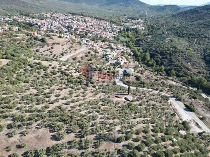 Image No.23-Propriété à vendre à Pteleos