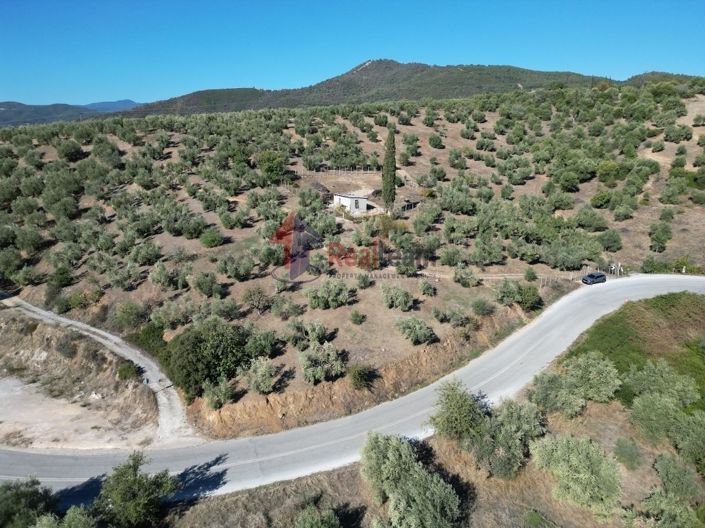 Image No.24-Propriété à vendre à Pteleos