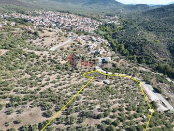 img48efd83d-7a51-4b44-a04f-1d48bd3dd8b9