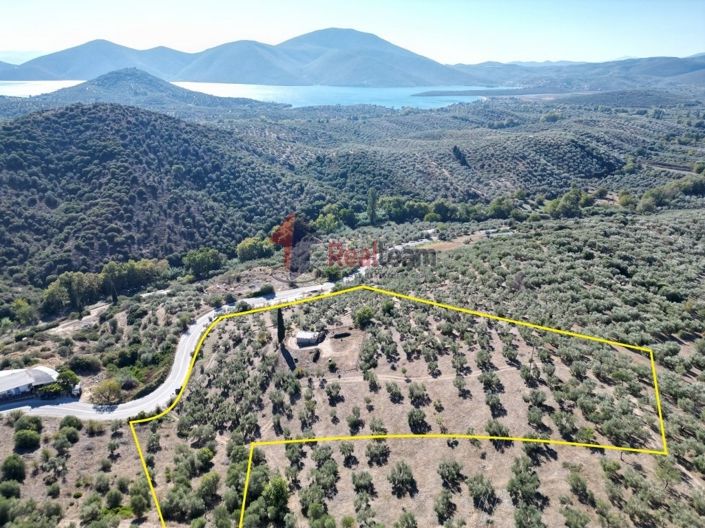 Image No.4-Propriété à vendre à Pteleos