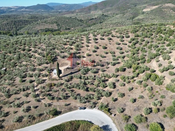 Image No.5-Propriété à vendre à Pteleos