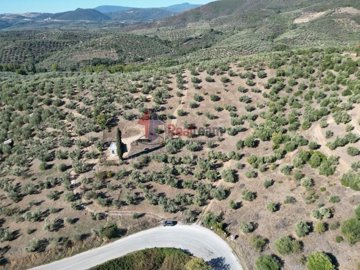 imga98b0a3f-2911-464b-b311-eb444d7c7562