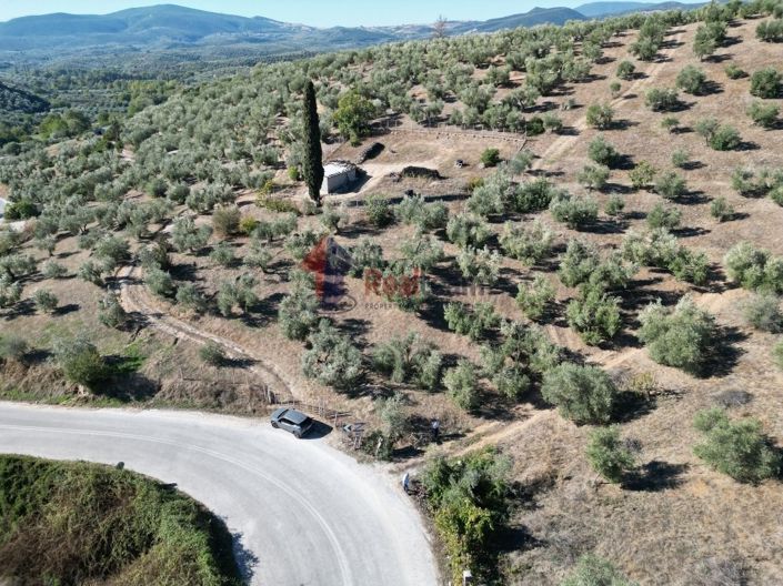 Image No.6-Propriété à vendre à Pteleos