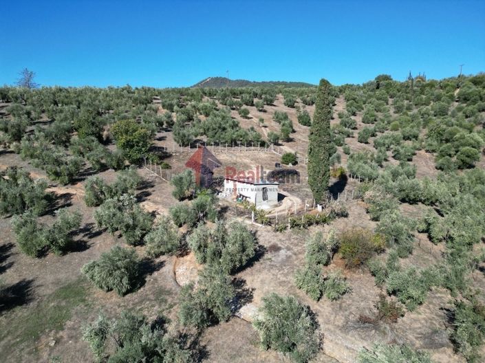 Image No.7-Propriété à vendre à Pteleos