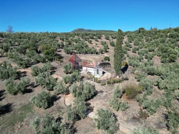 imgb371b046-c33c-4c65-8075-e0ed7d3a40fb