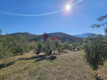 img1bd2e826-7ea2-45c2-9389-9ff67eeff0ab