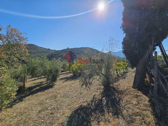 Image No.9-Propriété à vendre à Pteleos