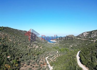 img7fa152c5-c0be-4e2b-9c93-0b396a8acb0f