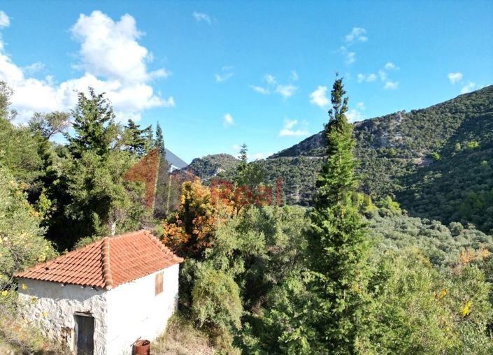 Image No.10-Propriété à vendre à Chora