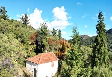 imgfbabe593-873b-47dd-8b0b-71cd0fb57b9d